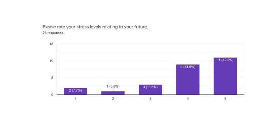 Planning for the Future: Why Seniors Are Stressed