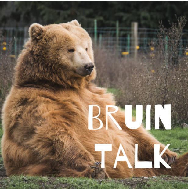 Cover for the Bruin Talk Podcast