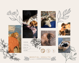 How Pets Help Our Mental Health