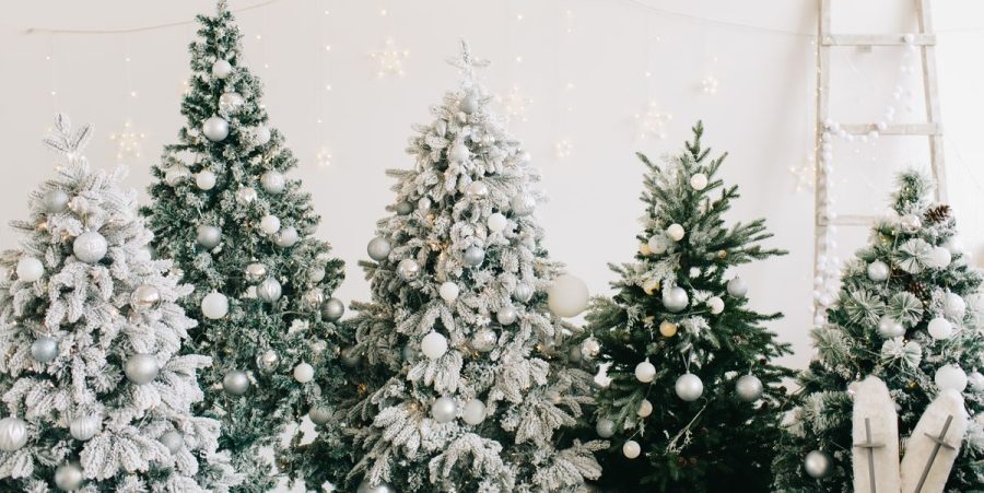 How Early Should You Put Up Your Christmas Tree?