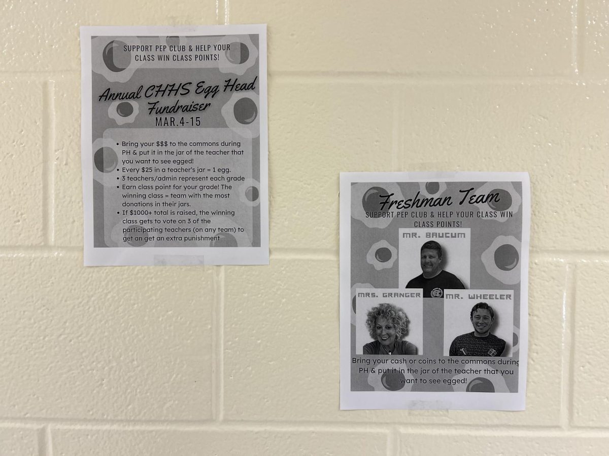 Some of the many flyers hanging up in the hallways to showcase the freshman candidates for the upcoming Egg Head Fundraiser (March 7). 