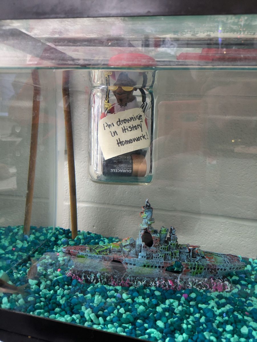 Anchor's Aweigh! Snoop floats above a sunken ship in Social Studies teacher Mike Sisk's fish tank on Dec. 17. Even through the water and glass, Snoop can hear Sisk's booming voice as he regails his students with stories from the past.  